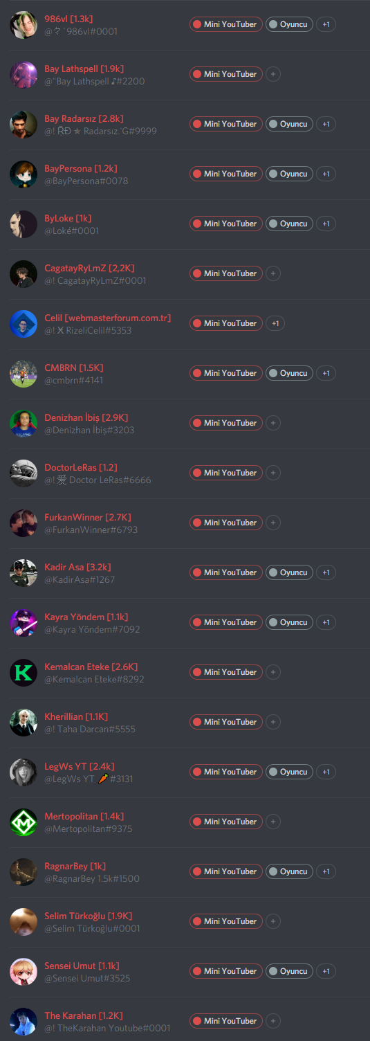 miniyoutuber.png