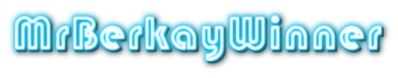 mrberkaywinner.png