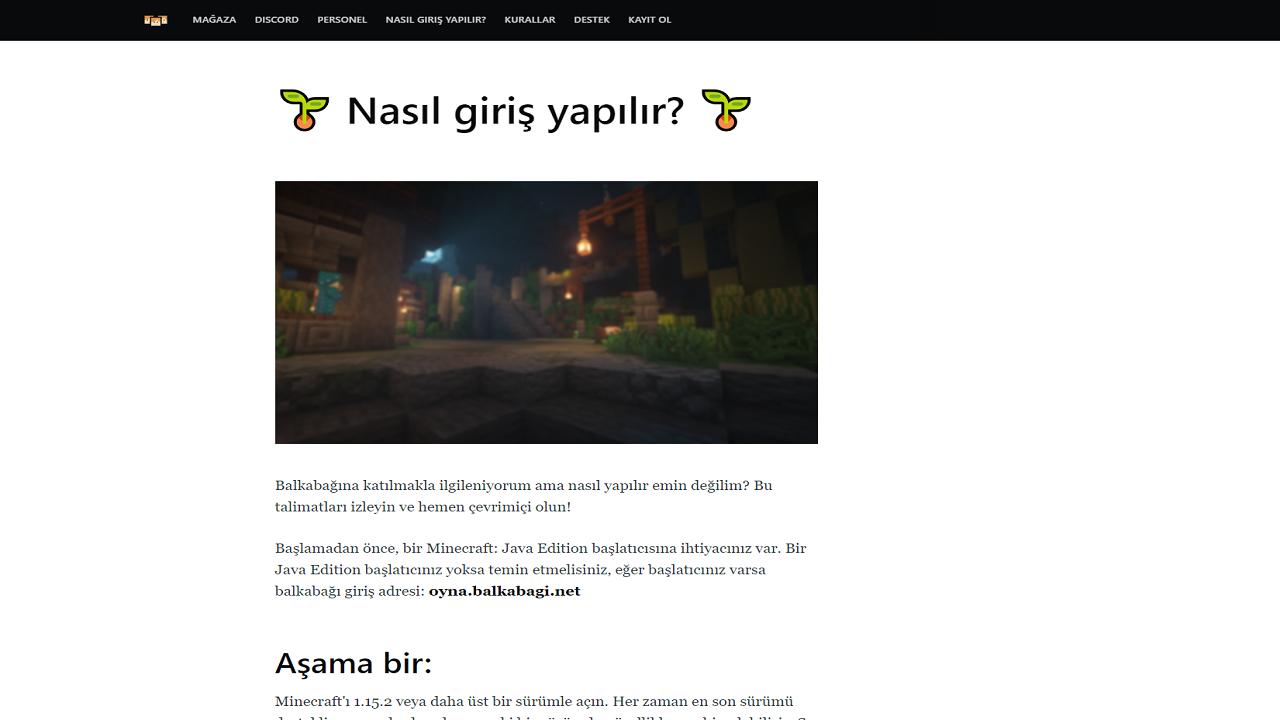 nasilgirisyapilir.png