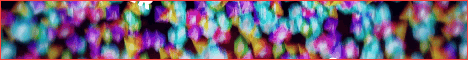 nevizadenw.gif