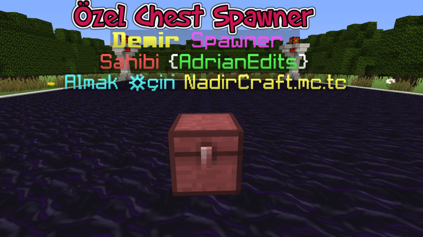 özel chest sp.png