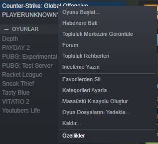 özellik.png