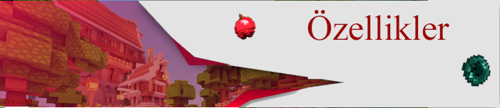 Özellikler.png
