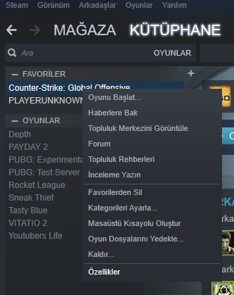 özellikler.png