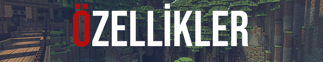 Özellikler.png