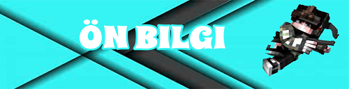 On_bilgi.png