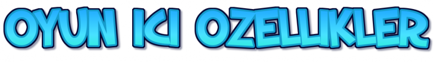 oyun ici.png