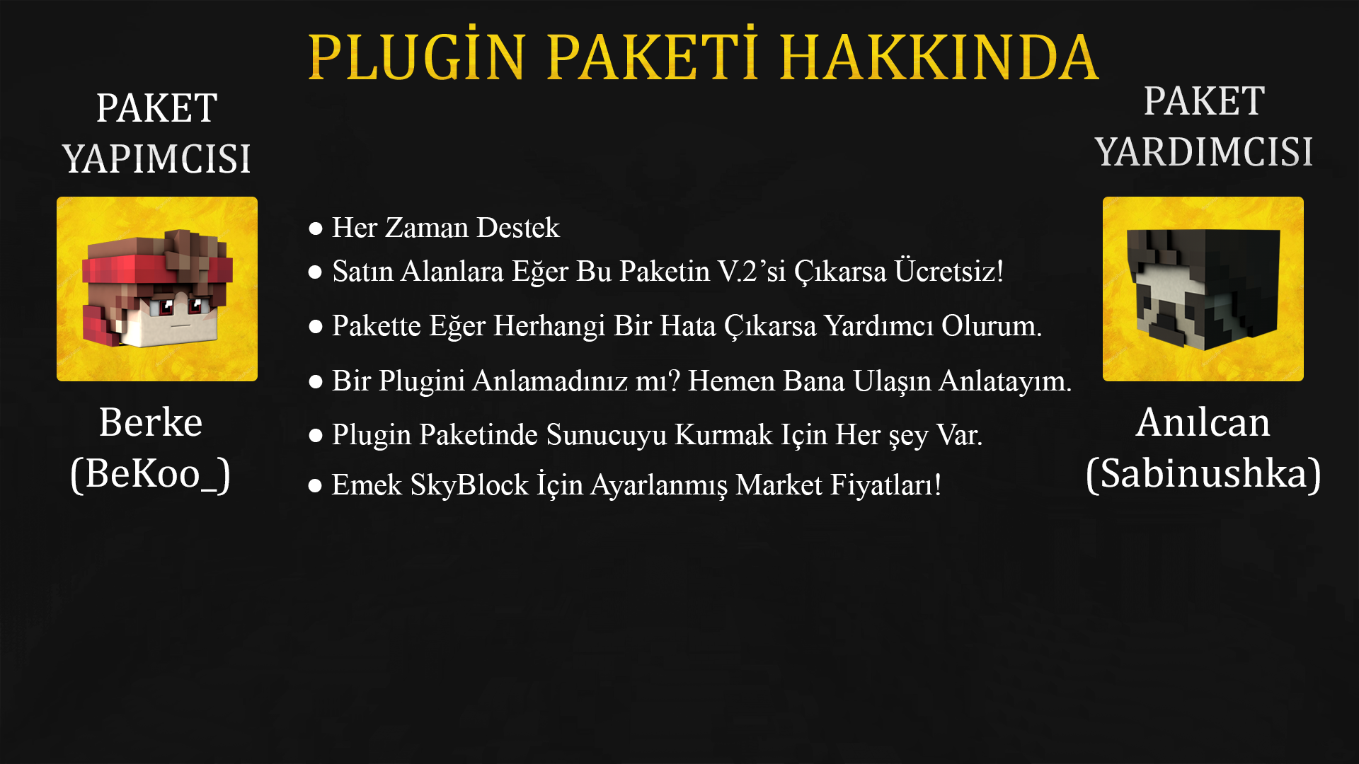 Paket Hakkında.png