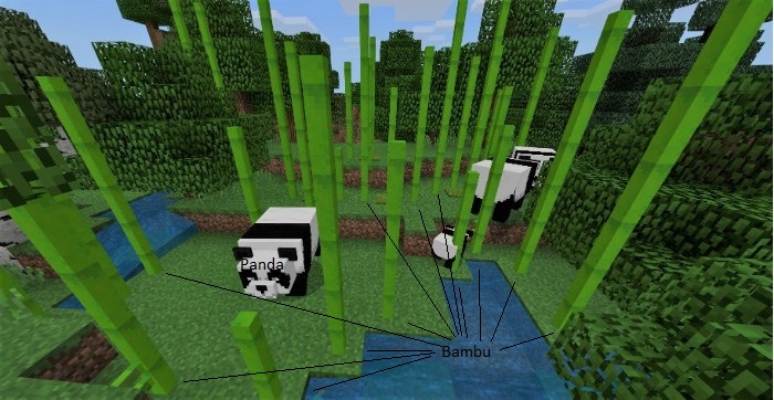 pandas-4-jpg.122747