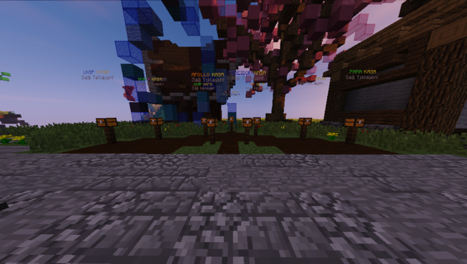 photo2.png