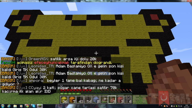pika.png