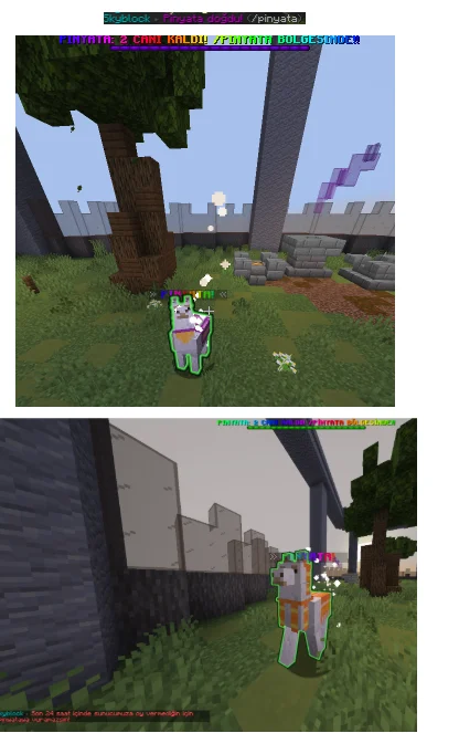 pinata1.png