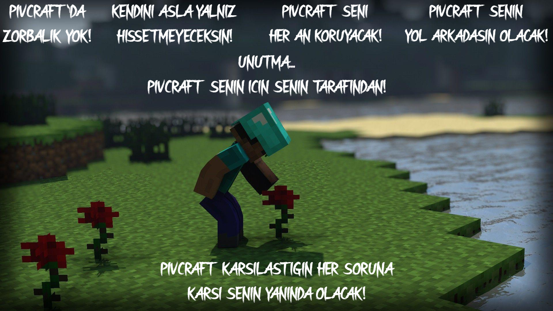 PivCraft2.jpg