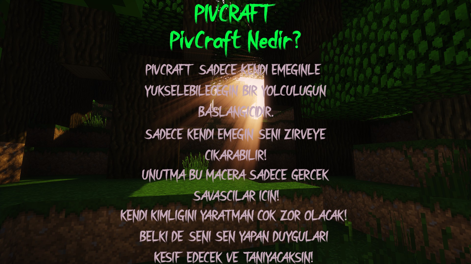 PivCraft4.jpg