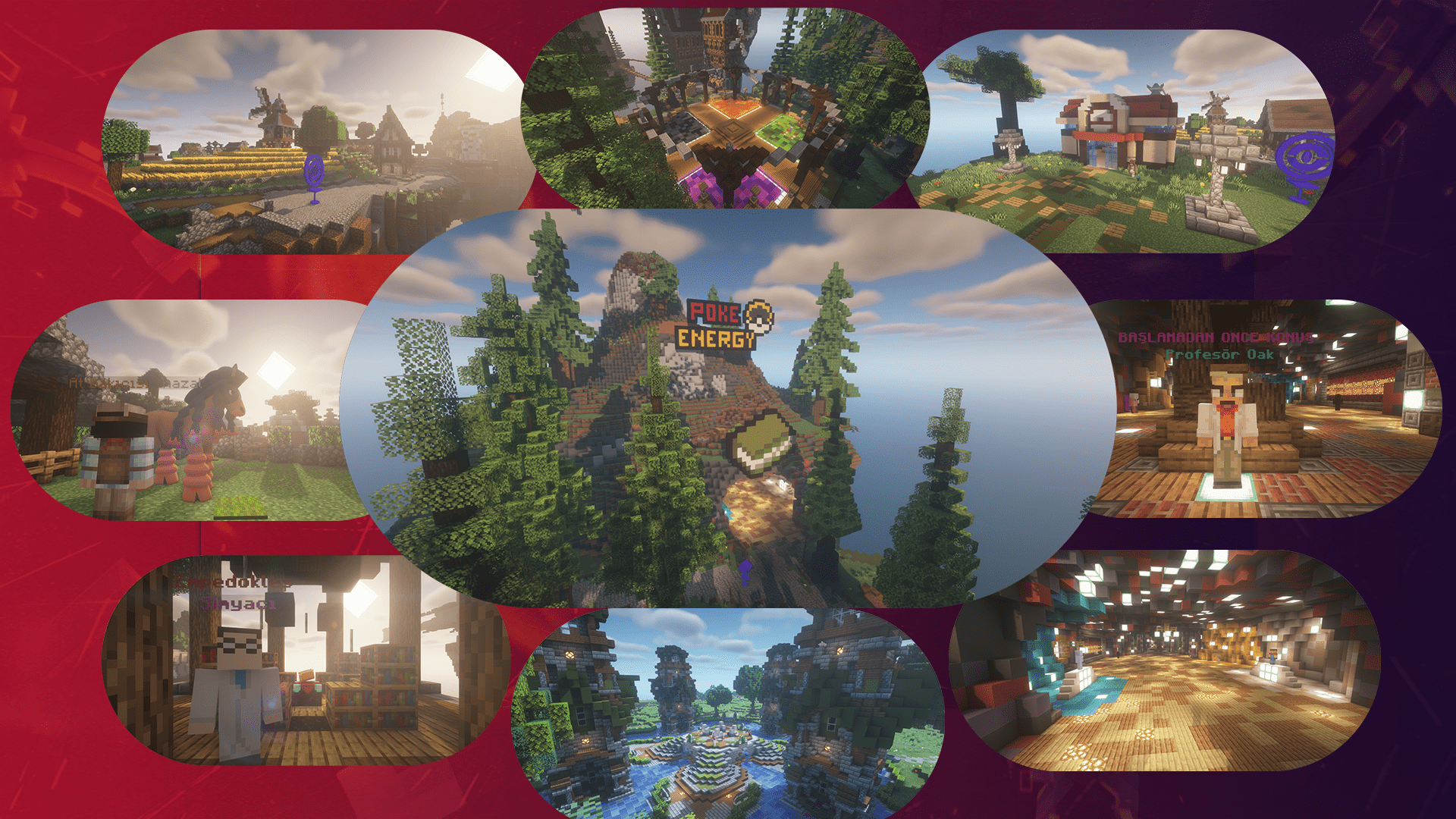 pixelmon6-min.png
