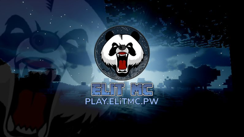 PLAY.ELiTMC.PW_1.png