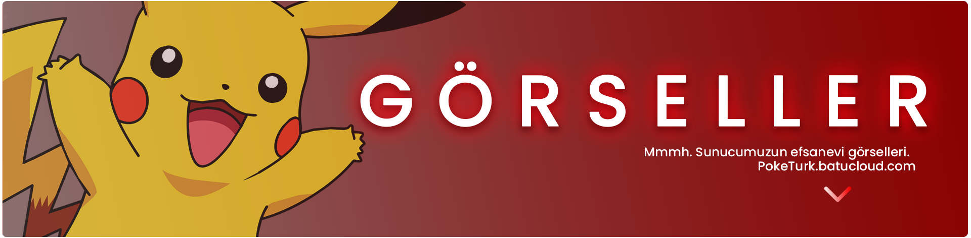 POKETURK4.png