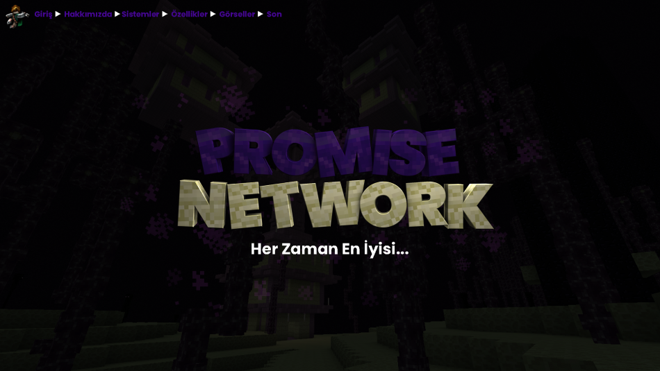 promisenetworkbas.png