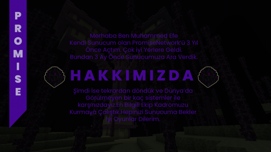 promisenetworkhak.png
