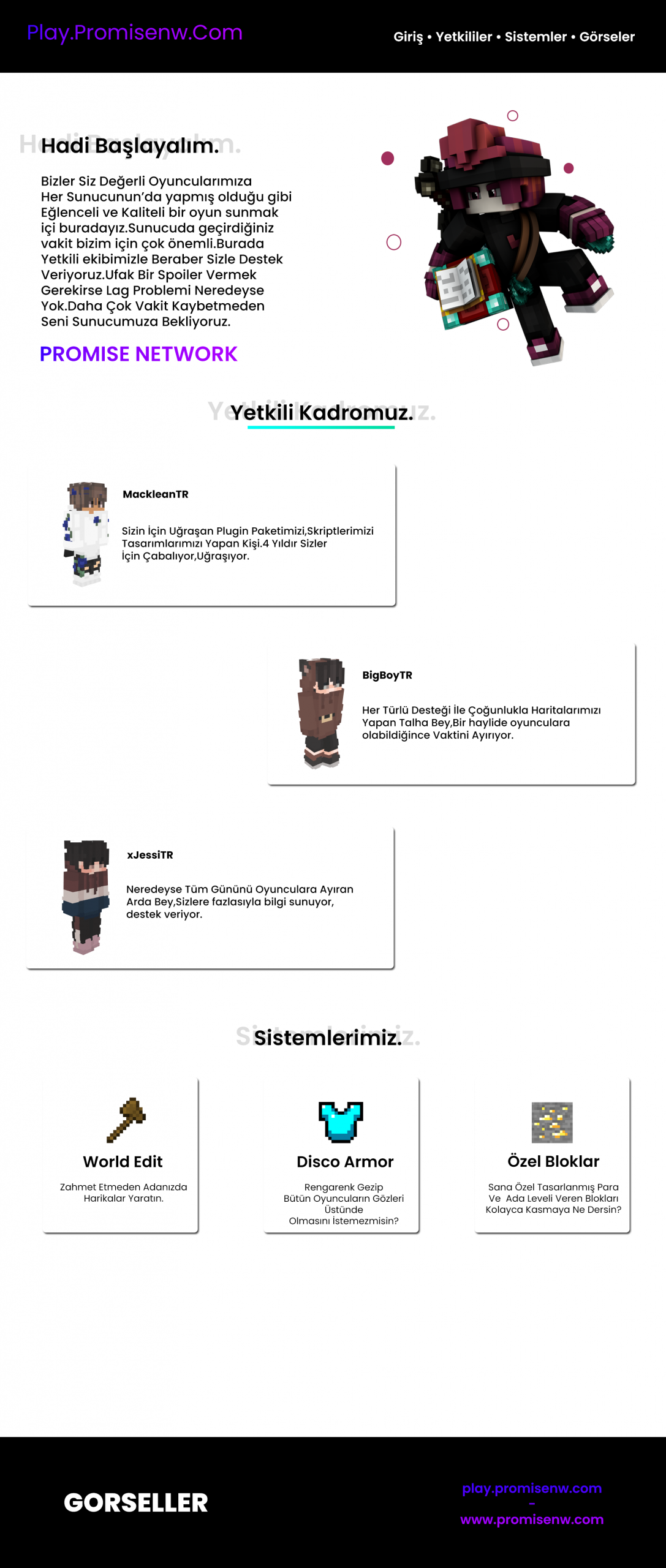 promisenetworkv1.png