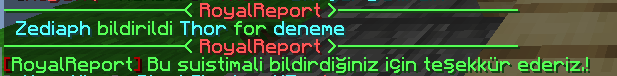 133763