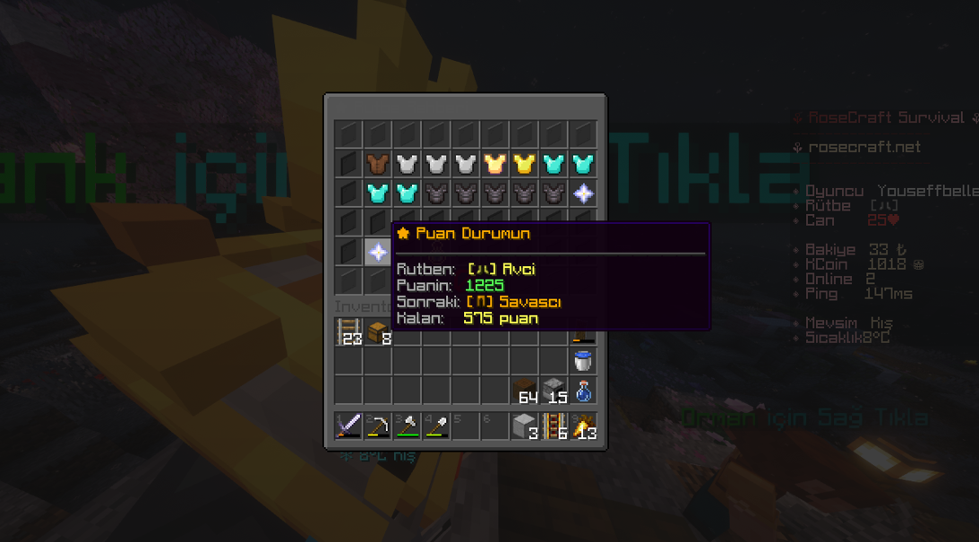 rank123123.PNG