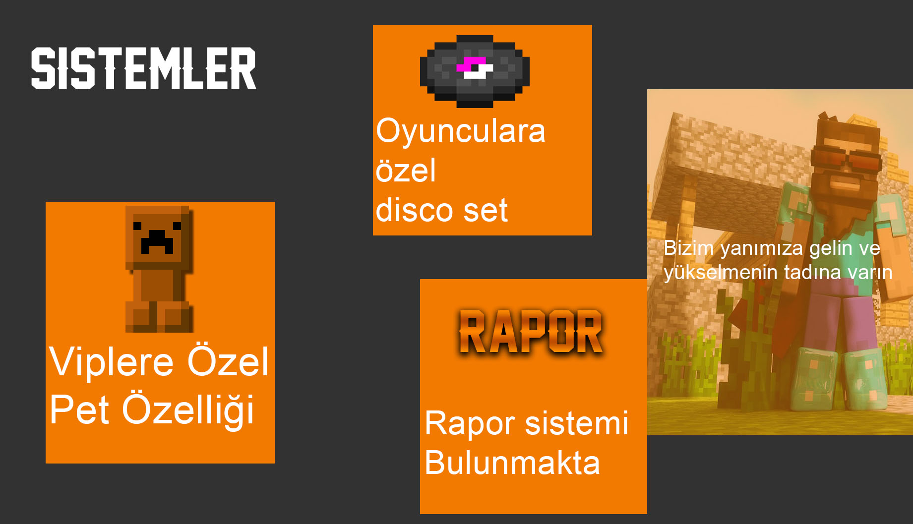 rapor.jpg