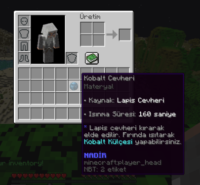 resim1.png