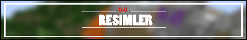 resimler.png