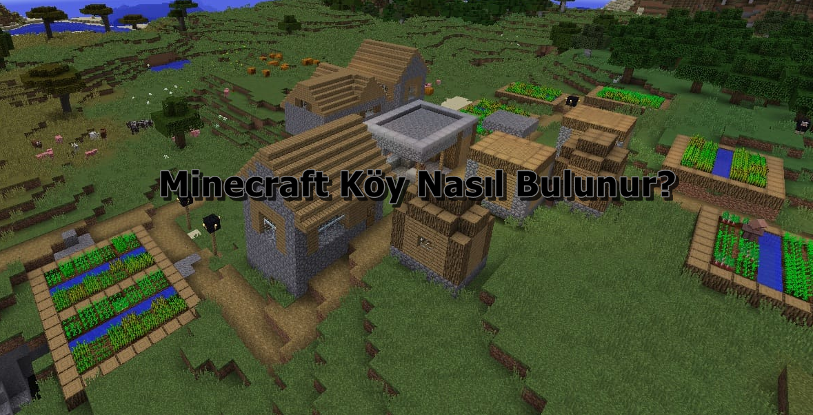 RqdlbhwlRsKOuxiZ7tkuMQ.png