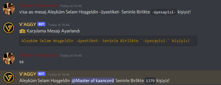 saas.png