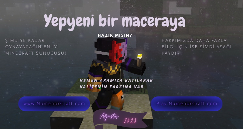 sayfa1.png