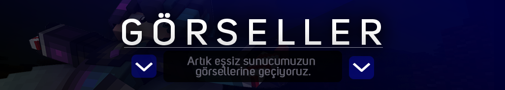 sayfa5.png