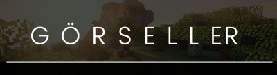 sayfa5.png