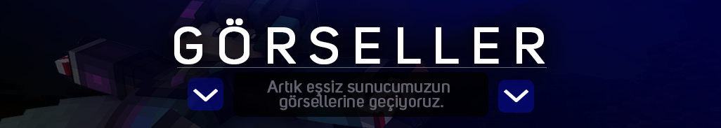 sayfa5.png