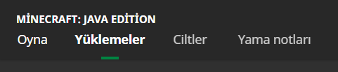 133770