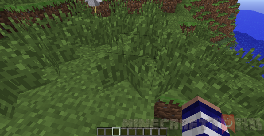 Seed.png