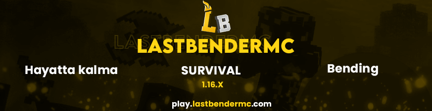 server banner.png