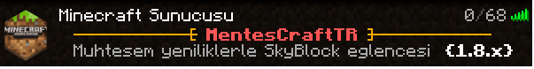 Server Giriş.png