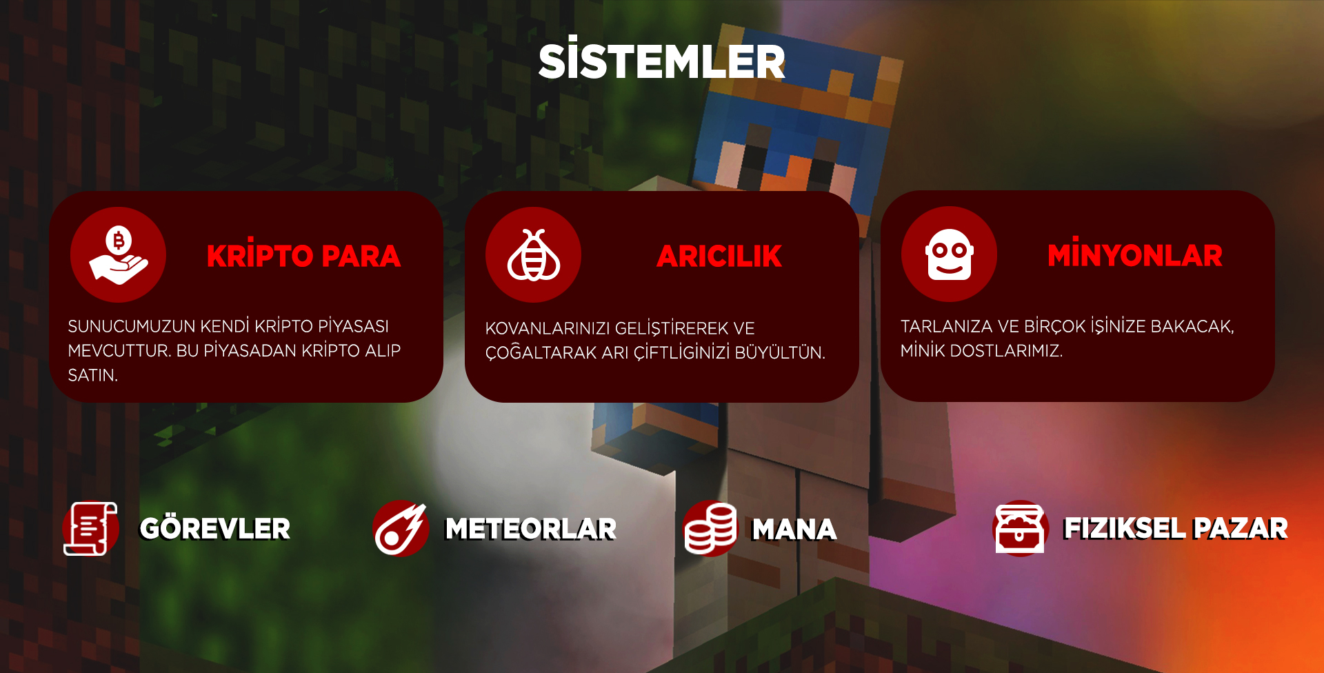 sistemler.jpg