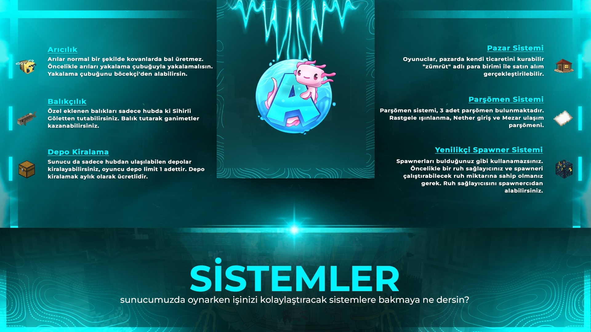 Sistemler.jpg