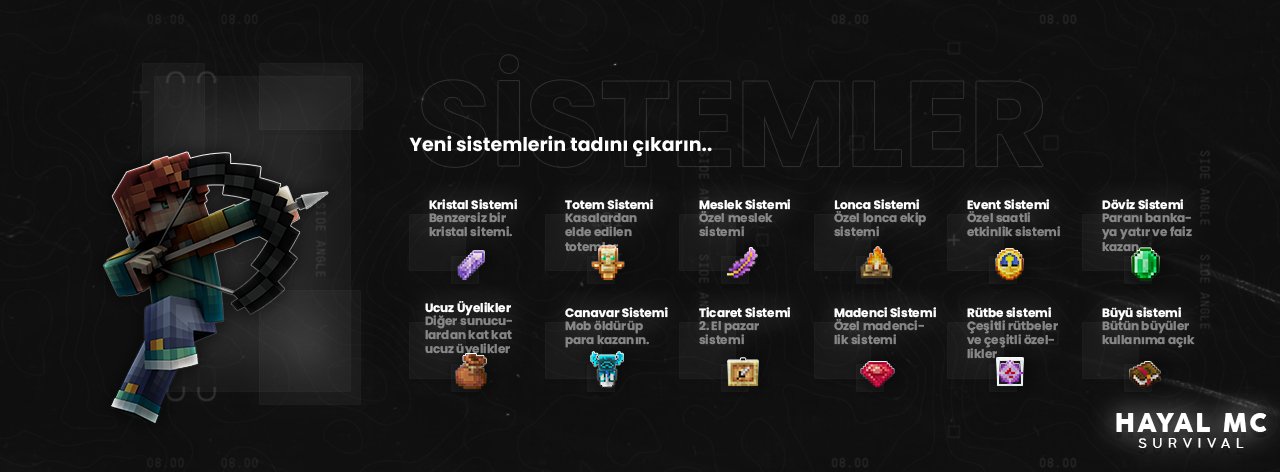 sistemler03.png