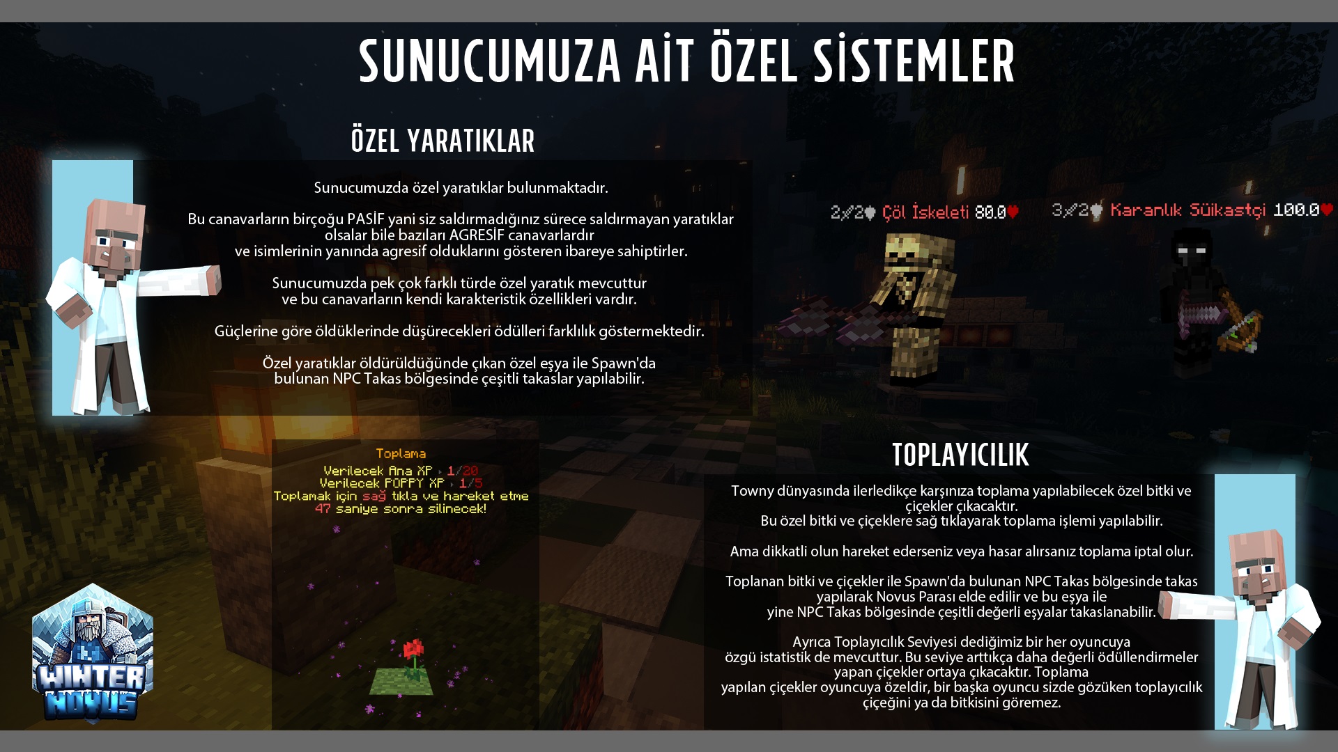 sistemler1.jpg