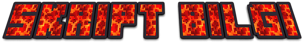 Skript-Bilgi.png
