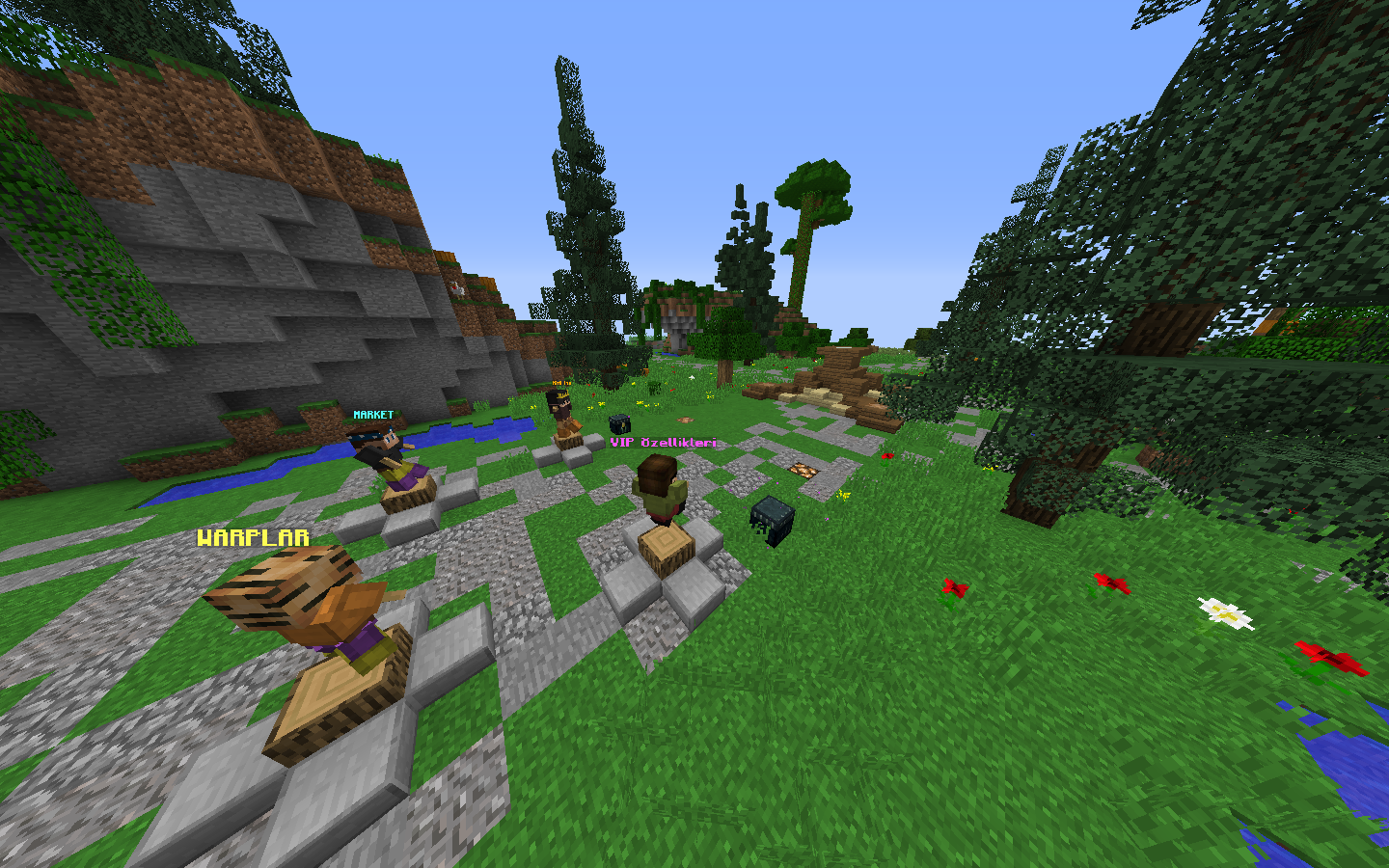 Spawn.png