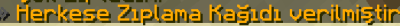 ss2.png