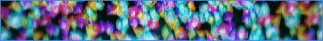 standard (4).gif