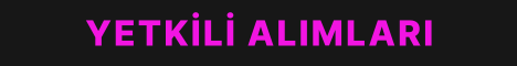standard.gif