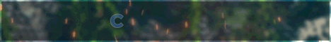 standard_2_1.gif