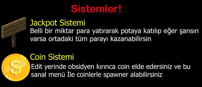 Sunucu Bilgi2.png